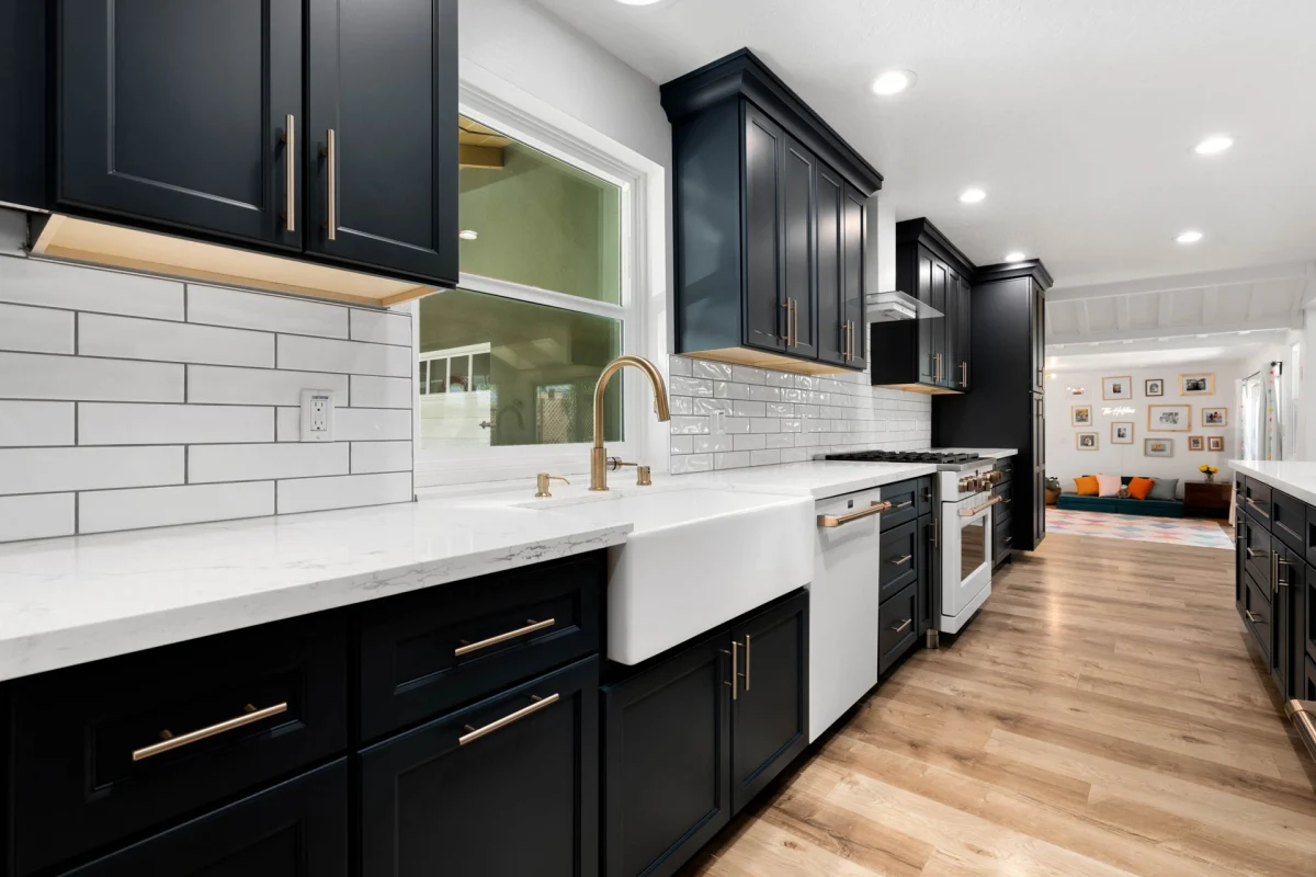 Whole-Home Remodel with Bold Modern Details, photo 29