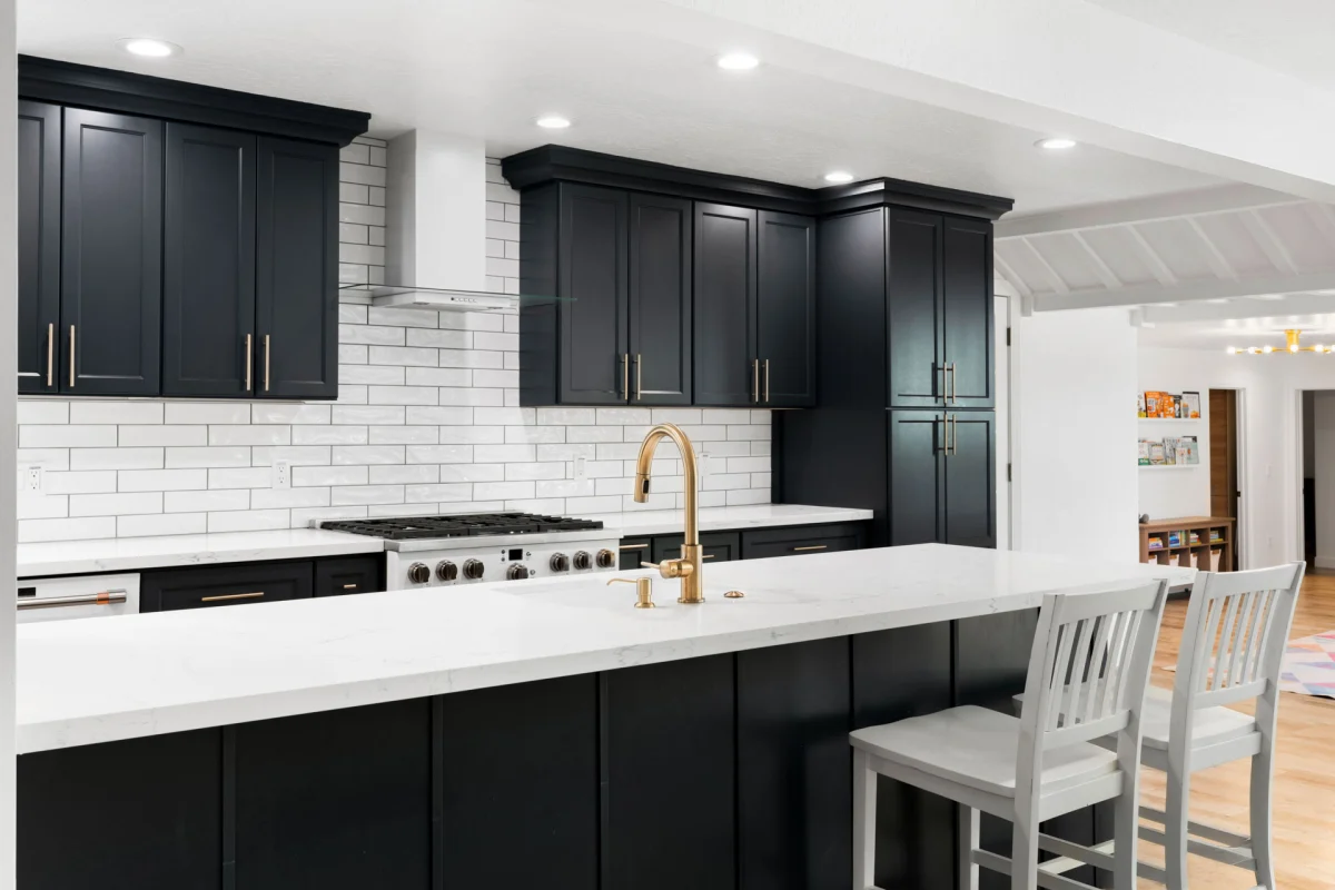 Whole-Home Remodel with Bold Modern Details, photo 22