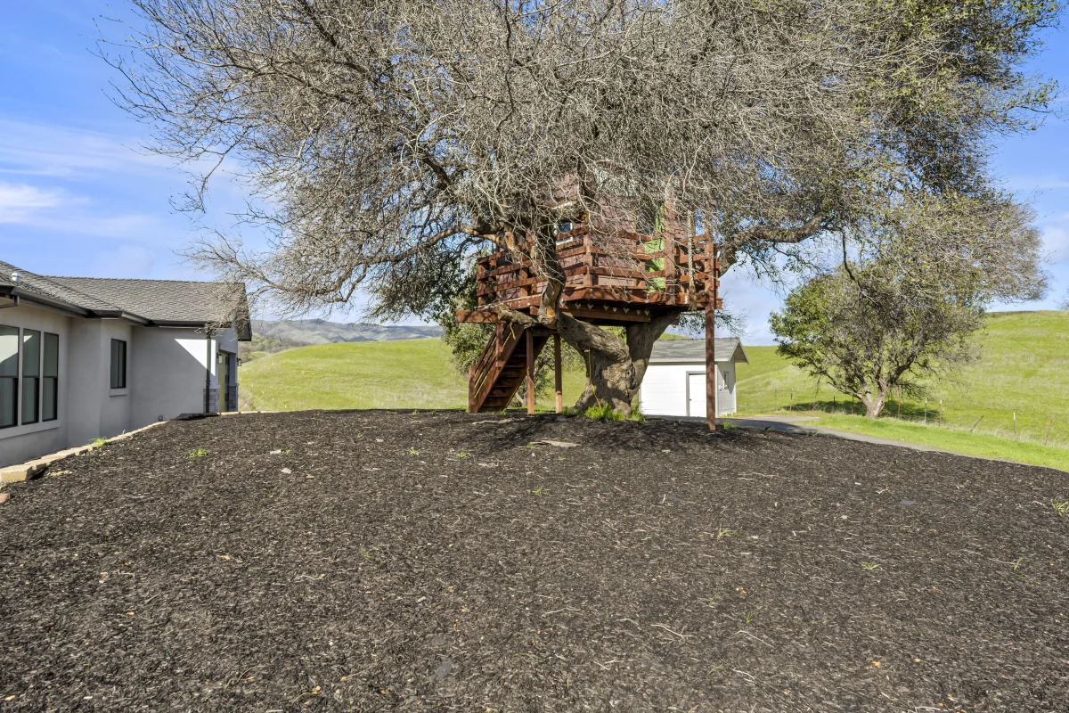 Hillside Modern Retreat, photo 3