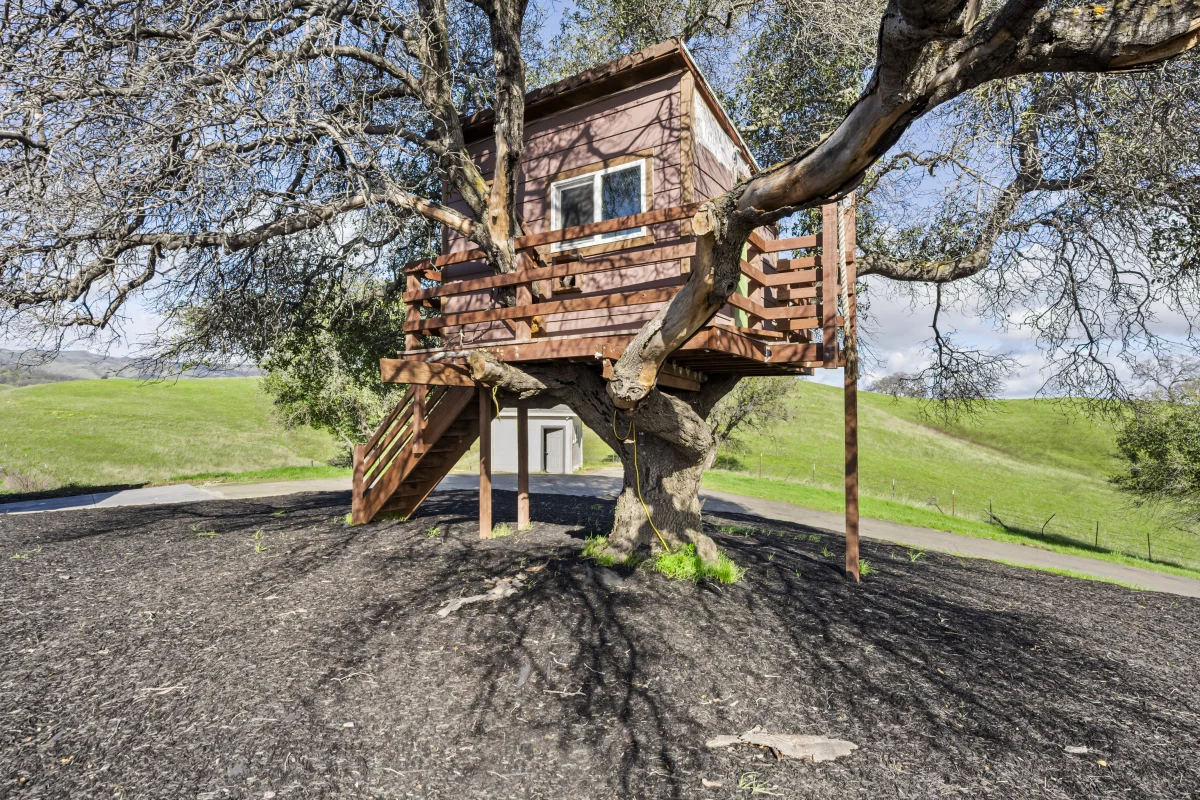 Hillside Modern Retreat, photo 4