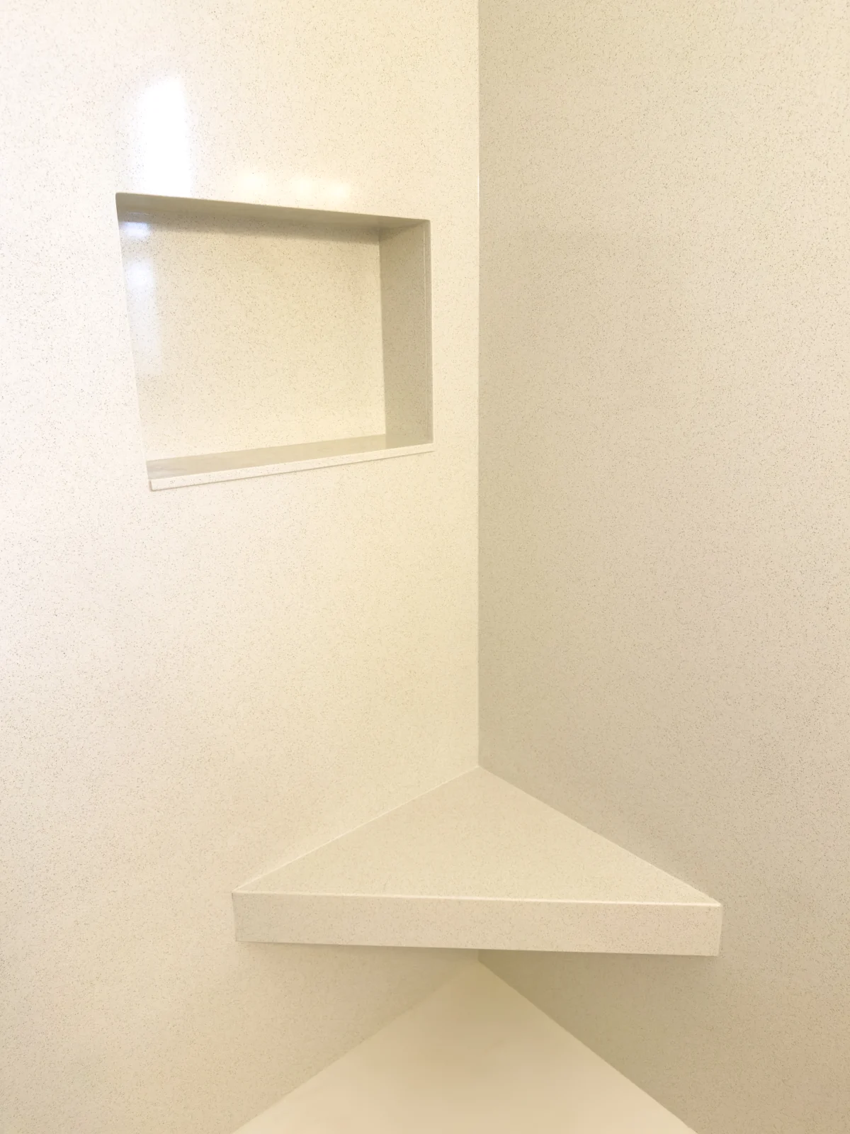 Modern Tub-to-Shower Conversion, photo 2