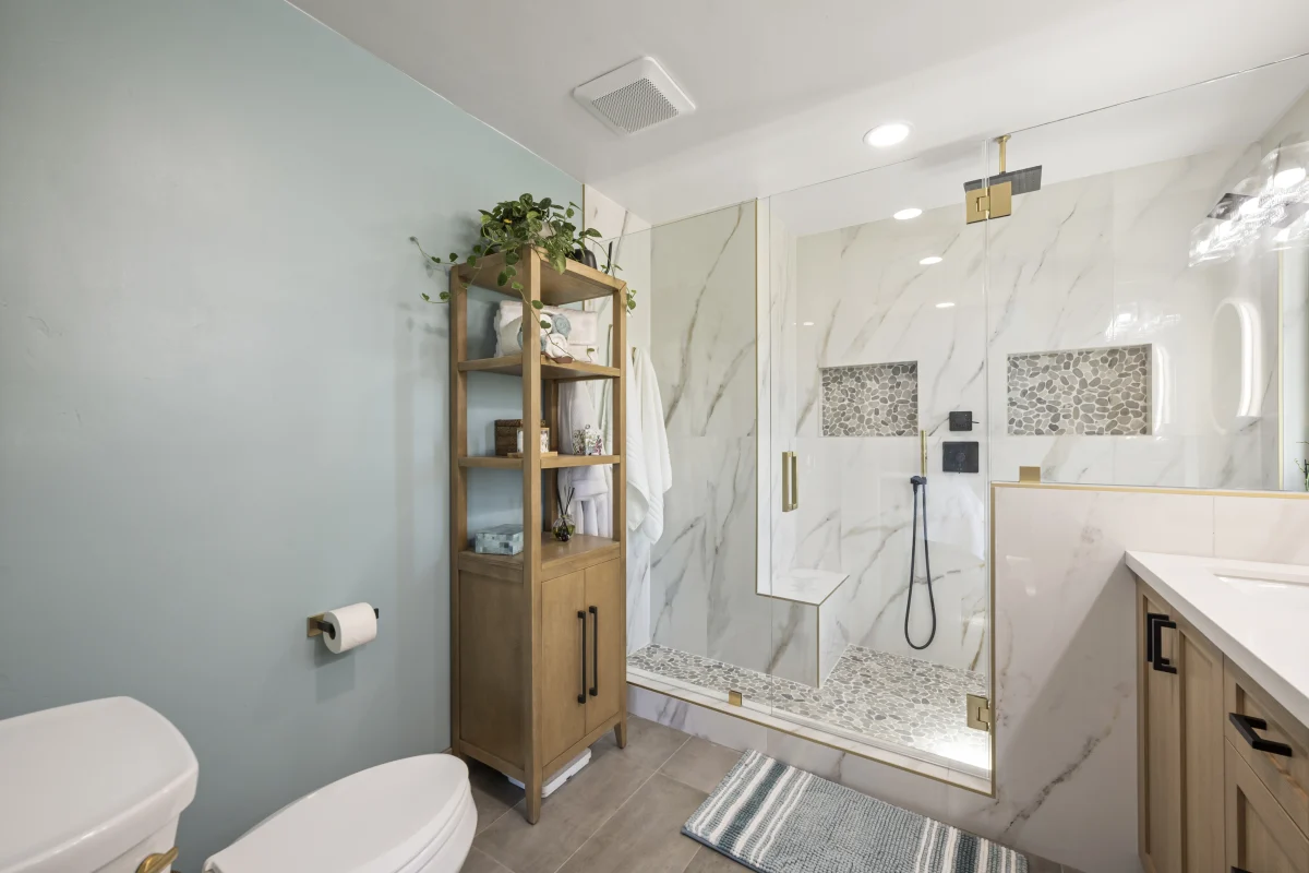 Spa-Inspired Walk-In Shower Retreat, photo 3